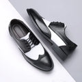 The Sterling Spectator Brogue